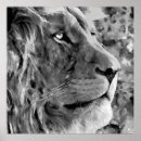 Search for lion king posters Abstract