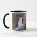 Search for yellowstone falls mugs Wyoming