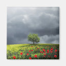 Search for cloudy magnets Landscape