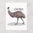 Search for emu postcards Bird