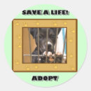 Search for humane society stickers Shelter