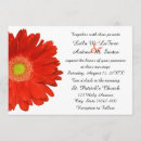 Search for orange gerbera invitations Flower