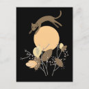 Search for moon postcards Mysterious