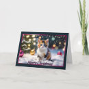 Search for calico christmas cards Kitten