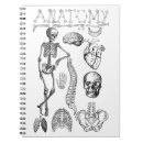 Search for human anatomy notebooks Physiology
