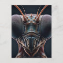 Search for macro postcards Bug