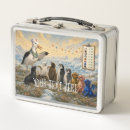 Search for nursing lunch boxes Paediatrics