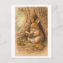 Search for vintage rabbit postcards Antique