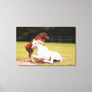Search for arabians canvas prints Horse
