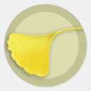 Search for gingko leaves stickers Ginko