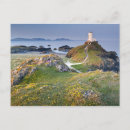 Search for lighthouse pictures postcards Ocean