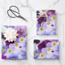 Search for pansy wrapping paper Floral