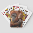 Search for apes playing cards Wildlife