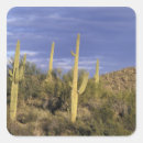 Search for baja mexico stickers Cactus