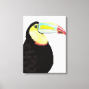 Search for toucan canvas prints Tropical
