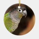 Search for conure christmas tree decorations Pet
