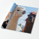 Search for alpaca wrapping paper Peru