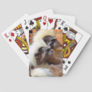 Search for monkey playing cards Wildlife