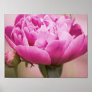 Search for june birthday posters Pink