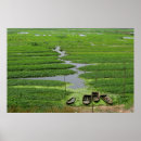 Search for cambodian art Country