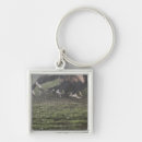Search for low section key rings People