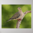 Search for depth of field posters Nature