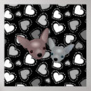 Search for black chihuahua posters Cute