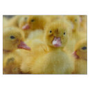 Search for duck chopping boards Bird