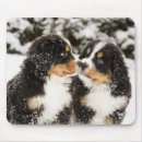 Search for bernese mountain dog mouse mats Animal
