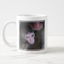 Search for macaque mugs Young animal