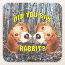 Search for beagles coasters Hound