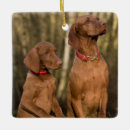 Search for vizsla christmas tree decorations Animal