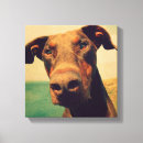 Search for funny dog canvas prints Animal