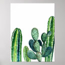 Search for cactus plant posters Modern