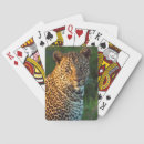 Search for full playing cards Gallo images