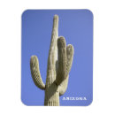 Search for sonoran magnets Desert