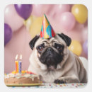 Search for birthday pug stickers Party