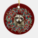 Search for racoon christmas tree decorations Wildlife