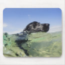 Search for low angle view mouse mats Swimming
