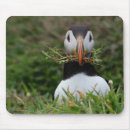 Search for atlantic islands mouse mats Puffin