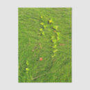Search for green grass tissue paper Nature