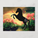 Search for dreams horizontal postcards Dreamcatcher