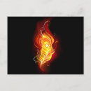 Search for peacock feathers postcards Black