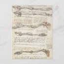 Search for davinci postcards Leonardo