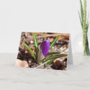 Search for spring bud cards Garden