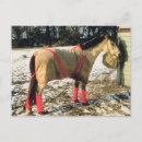 Search for wraps postcards Winter