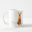 Search for sphynx mugs Kitten
