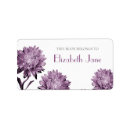 Search for aster plates Purple