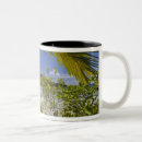 Search for seychelles mugs Tropical