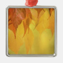 Search for symmetry christmas tree decorations Nature